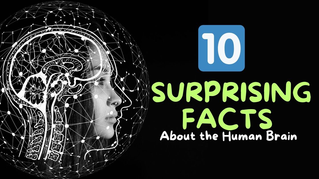 10 Surprising Facts About the Human Brain You Didn't Know