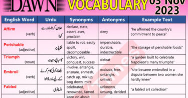 Daily DAWN News Vocabulary with Urdu Meaning (03 Nov 2023)