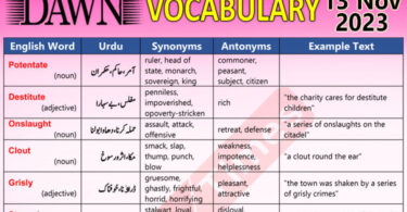 Daily DAWN News Vocabulary with Urdu Meaning (13 Nov 2023)