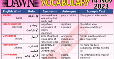 Daily DAWN News Vocabulary with Urdu Meaning (14 Nov 2023)