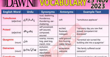 Daily DAWN News Vocabulary with Urdu Meaning (25 Nov 2023)