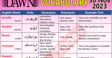 Daily DAWN News Vocabulary with Urdu Meaning (30 Nov 2023)