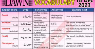 Daily DAWN News Vocabulary with Urdu Meaning (18 Dec 2023)