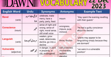 Daily DAWN News Vocabulary with Urdu Meaning (22 Dec 2023)