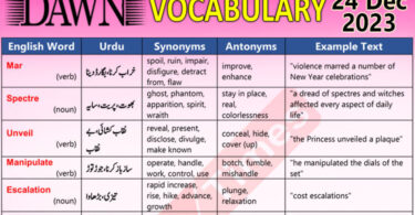 Daily DAWN News Vocabulary with Urdu Meaning (24 Dec 2023)