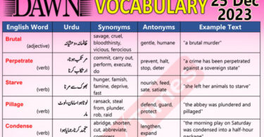 Daily DAWN News Vocabulary with Urdu Meaning (25 Dec 2023)