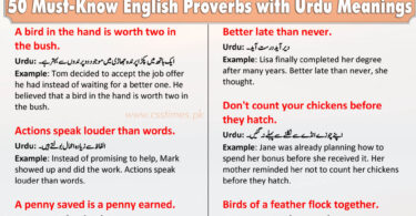 50 Must-Know English Proverbs with Urdu Meanings