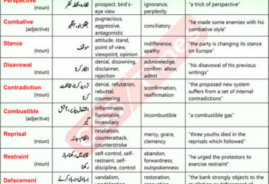 Daily DAWN News Vocabulary with Urdu Meaning (09 May 2024)