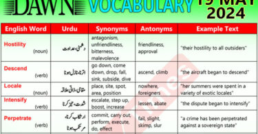 Daily DAWN News Vocabulary with Urdu Meaning (19 May 2024)