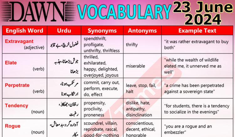 Daily DAWN News Vocabulary with Urdu Meaning (23 June 2024)