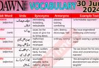 Daily DAWN News Vocabulary with Urdu Meaning (29 June 2024)