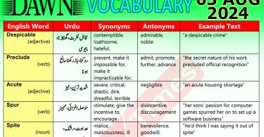 Daily DAWN News Vocabulary with Urdu Meaning (03 August 2024)