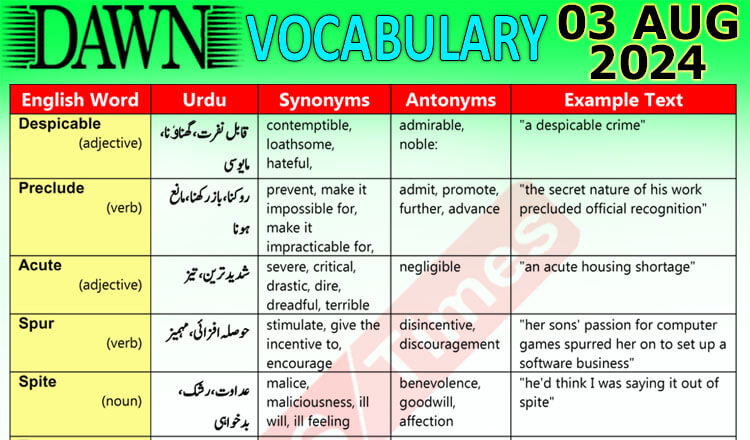 Daily DAWN News Vocabulary with Urdu Meaning (03 August 2024)