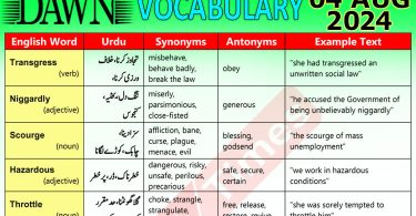 Daily DAWN News Vocabulary with Urdu Meaning (04 August 2024)