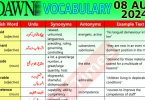 Daily DAWN News Vocabulary with Urdu Meaning (08 August 2024)