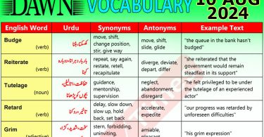 Daily DAWN News Vocabulary with Urdu Meaning (10 August 2024)