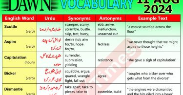 Daily DAWN News Vocabulary with Urdu Meaning (11 August 2024)