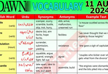 Daily DAWN News Vocabulary with Urdu Meaning (11 August 2024)