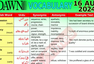 Daily DAWN News Vocabulary with Urdu Meaning (16 August 2024)