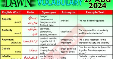 Daily DAWN News Vocabulary with Urdu Meaning (17 August 2024)