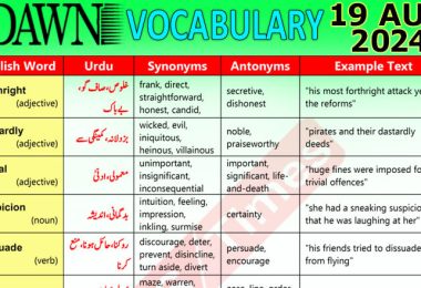 Daily DAWN News Vocabulary with Urdu Meaning (19 August 2024)