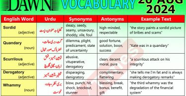 Daily DAWN News Vocabulary with Urdu Meaning (20 August 2024)