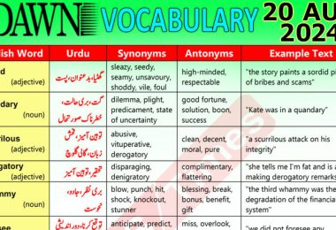 Daily DAWN News Vocabulary with Urdu Meaning (20 August 2024)