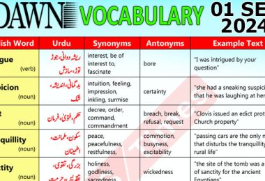 Daily DAWN News Vocabulary with Urdu Meaning (01 September 2024)