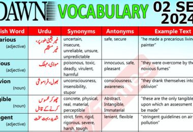 Daily DAWN News Vocabulary with Urdu Meaning (02 September 2024)