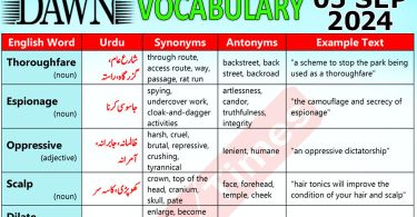 Daily DAWN News Vocabulary with Urdu Meaning (05 September 2024)