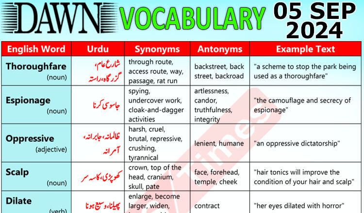 Daily DAWN News Vocabulary with Urdu Meaning (05 September 2024)