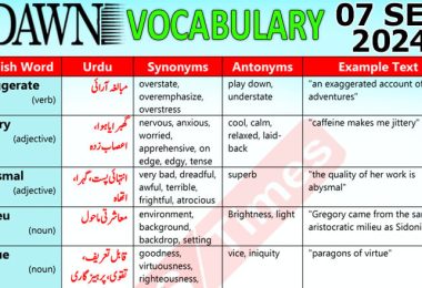 Daily DAWN News Vocabulary with Urdu Meaning (07 September 2024)