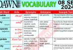 Daily DAWN News Vocabulary with Urdu Meaning (08 September 2024)