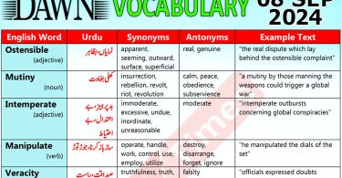 Daily DAWN News Vocabulary with Urdu Meaning (08 September 2024)