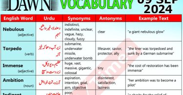 Daily DAWN News Vocabulary with Urdu Meaning (09 September 2024)