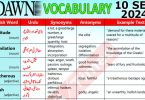 Daily DAWN News Vocabulary with Urdu Meaning (10 September 2024)