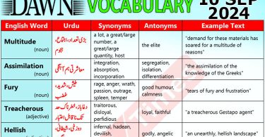 Daily DAWN News Vocabulary with Urdu Meaning (10 September 2024)