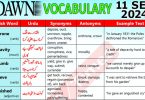 Daily DAWN News Vocabulary with Urdu Meaning (11 September 2024)