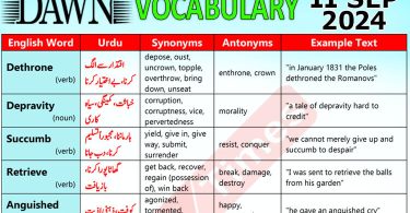 Daily DAWN News Vocabulary with Urdu Meaning (11 September 2024)