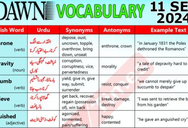 Daily DAWN News Vocabulary with Urdu Meaning (11 September 2024)