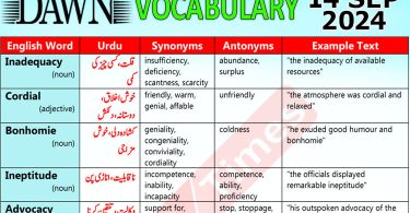 Daily DAWN News Vocabulary with Urdu Meaning (14 September 2024)