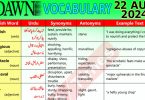 Daily DAWN News Vocabulary with Urdu Meaning (22 August 2024)