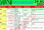 Daily DAWN News Vocabulary with Urdu Meaning (24 August 2024)