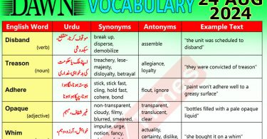 Daily DAWN News Vocabulary with Urdu Meaning (24 August 2024)