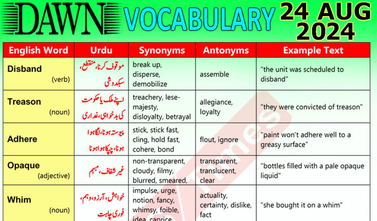 Daily DAWN News Vocabulary with Urdu Meaning (24 August 2024)