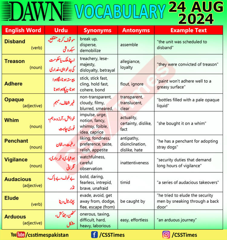 Daily DAWN News Vocabulary with Urdu Meaning (24 August 2024)