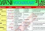 Daily DAWN News Vocabulary with Urdu Meaning (25 August 2024)