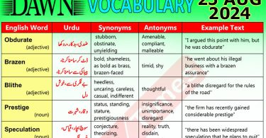 Daily DAWN News Vocabulary with Urdu Meaning (25 August 2024)