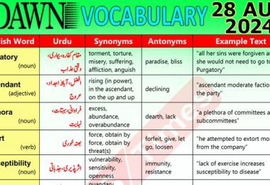 Daily DAWN News Vocabulary with Urdu Meaning (28 August 2024)