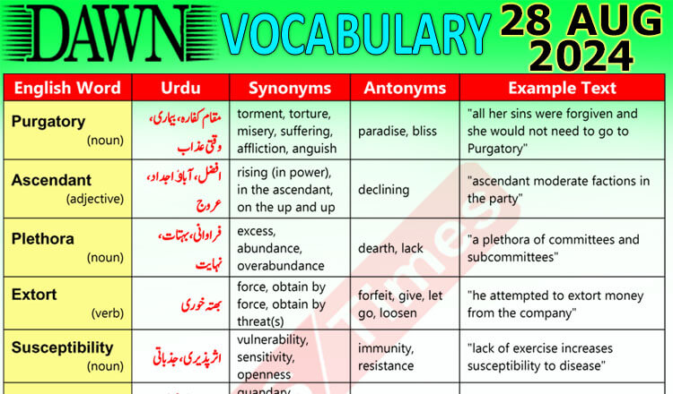 Daily DAWN News Vocabulary with Urdu Meaning (28 August 2024)